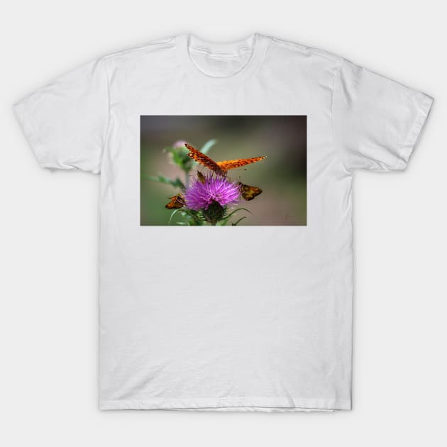 Let's Meet for Lunch ~ Gila National Forest, New Mexico T-Shirt by VKPelham